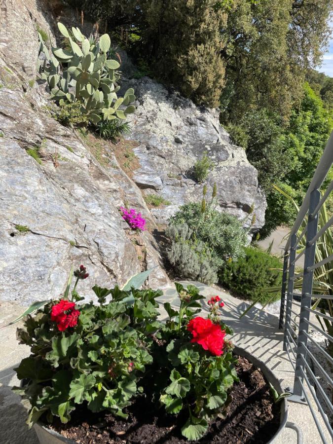 Villa Petrera Valle-di-Campoloro Eksteriør bilde